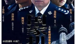 最新国安反间谍电视剧,揭秘国安反间谍风云录